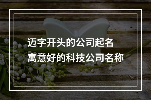 迈字开头的公司起名 寓意好的科技公司名称