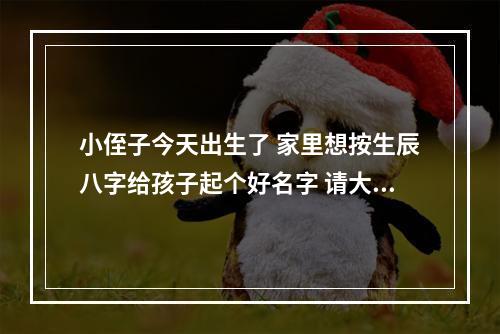 小侄子今天出生了 家里想按生辰八字给孩子起个好名字 请大师帮忙 算下起个好名啊