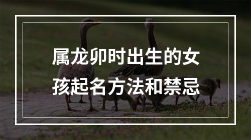 属龙卯时出生的女孩起名方法和禁忌