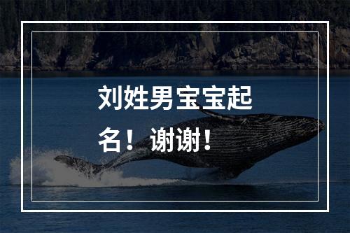 刘姓男宝宝起名！谢谢！