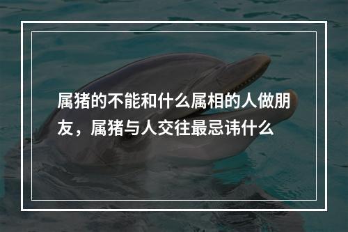 属猪的不能和什么属相的人做朋友，属猪与人交往最忌讳什么