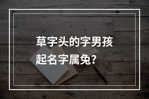 草字头的字男孩起名字属兔？