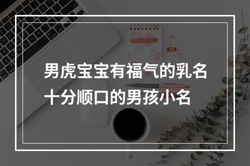 男虎宝宝有福气的乳名十分顺口的男孩小名