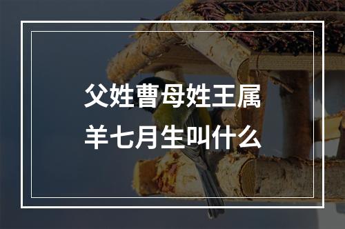 父姓曹母姓王属羊七月生叫什么