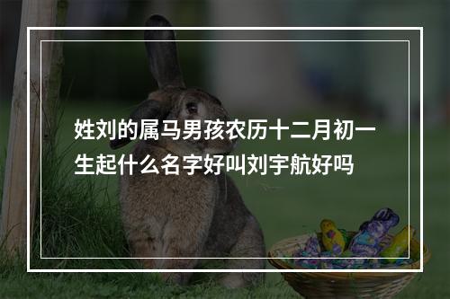 姓刘的属马男孩农历十二月初一生起什么名字好叫刘宇航好吗