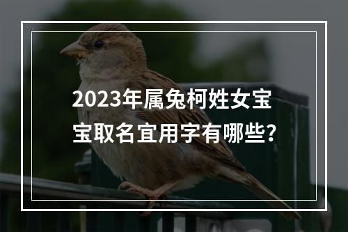 2023年属兔柯姓女宝宝取名宜用字有哪些？