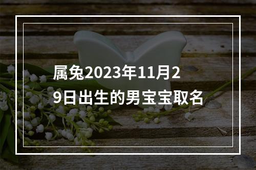 属兔2023年11月29日出生的男宝宝取名
