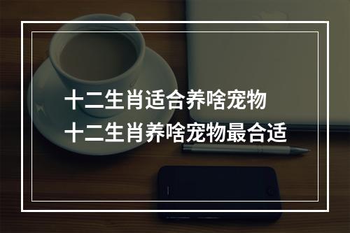 十二生肖适合养啥宠物 十二生肖养啥宠物最合适