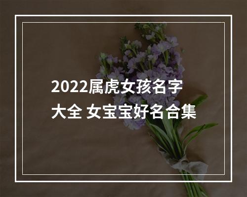 2022属虎女孩名字大全 女宝宝好名合集