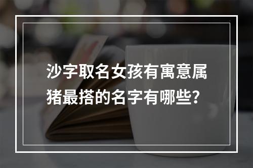 沙字取名女孩有寓意属猪最搭的名字有哪些？