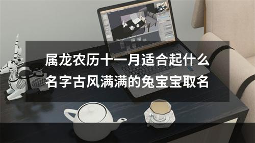 属龙农历十一月适合起什么名字古风满满的兔宝宝取名