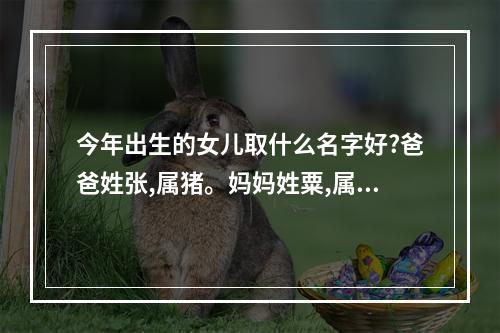今年出生的女儿取什么名字好?爸爸姓张,属猪。妈妈姓粟,属虎