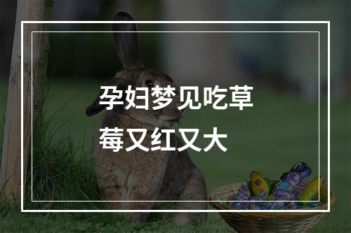孕妇梦见吃草莓又红又大