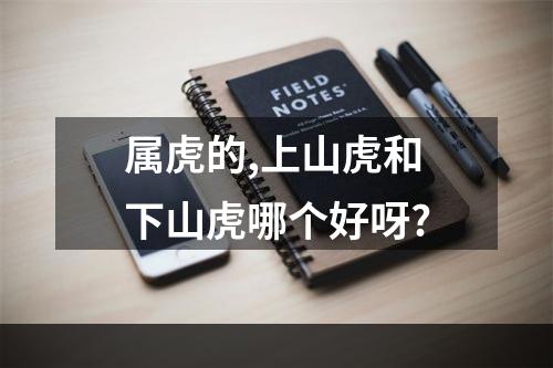 属虎的,上山虎和下山虎哪个好呀?