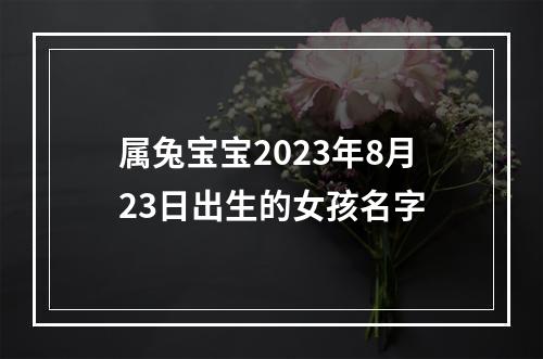 属兔宝宝2023年8月23日出生的女孩名字
