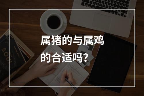 属猪的与属鸡的合适吗？