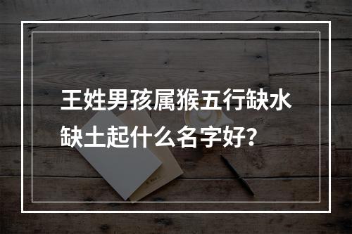 王姓男孩属猴五行缺水缺土起什么名字好？