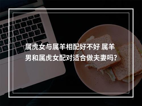 属虎女与属羊相配好不好 属羊男和属虎女配对适合做夫妻吗？