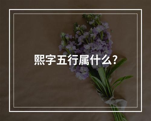 熙字五行属什么?