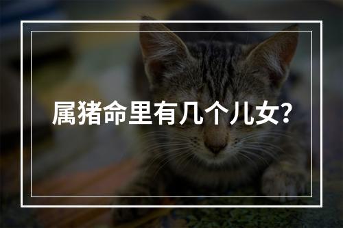 属猪命里有几个儿女？