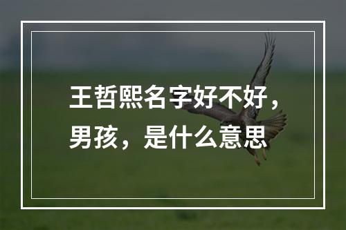 王哲熙名字好不好，男孩，是什么意思