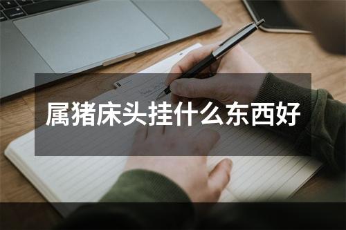 属猪床头挂什么东西好