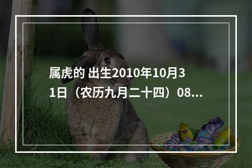 属虎的 出生2010年10月31日（农历九月二十四）08:30出生的男孩 五行有缺什么吗？谢谢！取名需注意什么呢？