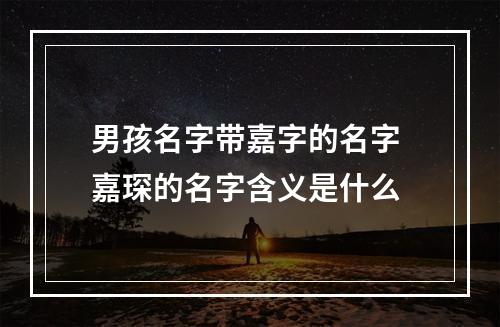 男孩名字带嘉字的名字 嘉琛的名字含义是什么