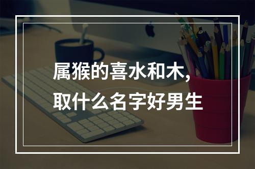 属猴的喜水和木,取什么名字好男生