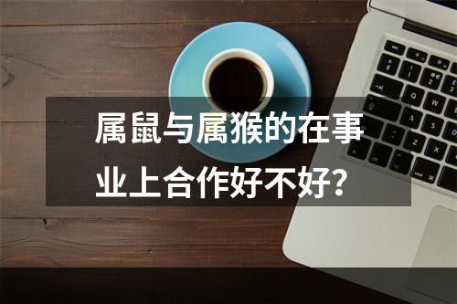 属鼠与属猴的在事业上合作好不好？