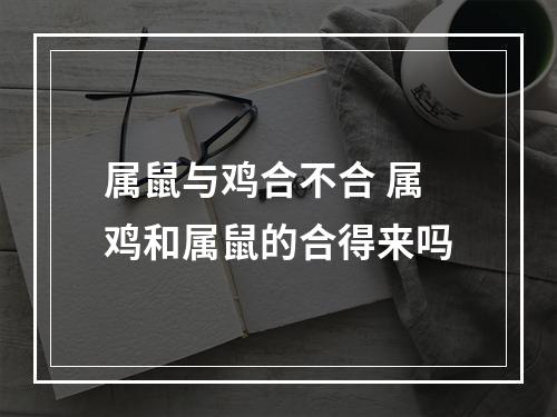 属鼠与鸡合不合 属鸡和属鼠的合得来吗