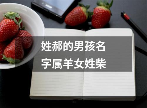 姓郝的男孩名字属羊女姓柴