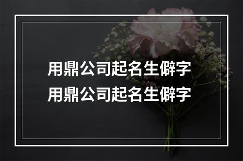 用鼎公司起名生僻字 用鼎公司起名生僻字