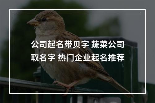 公司起名带贝字 蔬菜公司取名字 热门企业起名推荐