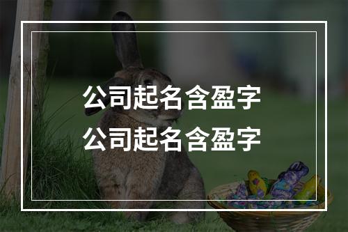 公司起名含盈字 公司起名含盈字