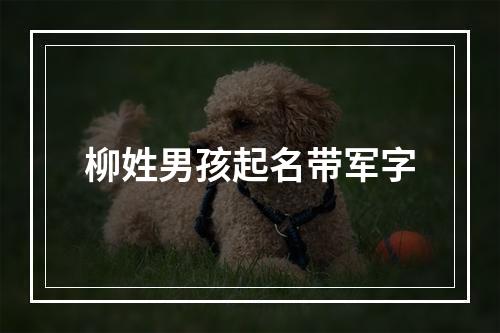 柳姓男孩起名带军字
