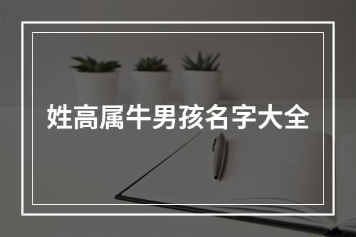姓高属牛男孩名字大全