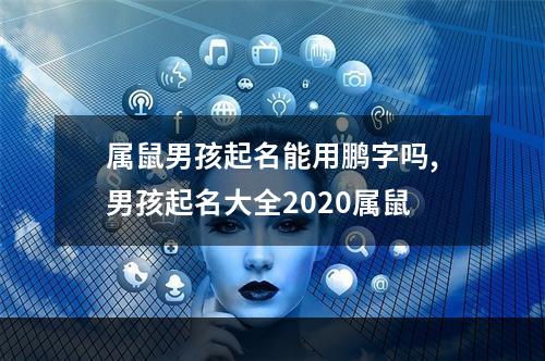属鼠男孩起名能用鹏字吗,男孩起名大全2020属鼠