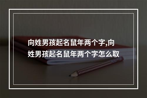 向姓男孩起名鼠年两个字,向姓男孩起名鼠年两个字怎么取