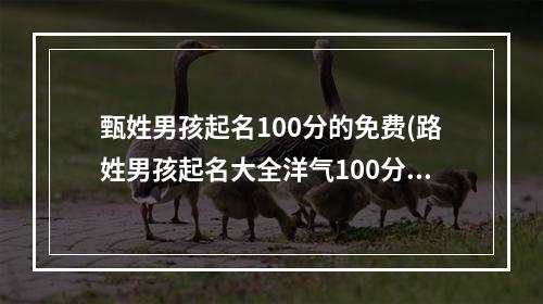 甄姓男孩起名100分的免费(路姓男孩起名大全洋气100分)