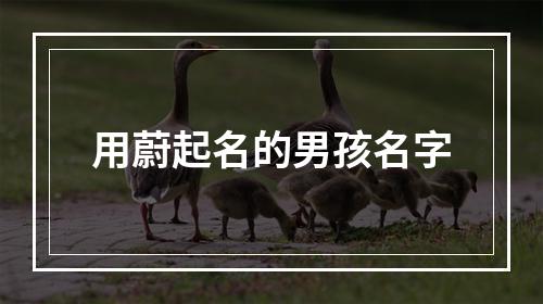 用蔚起名的男孩名字