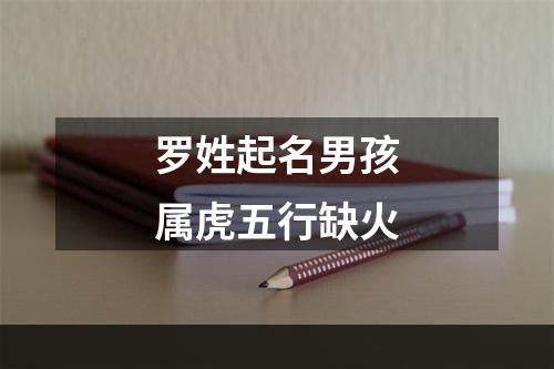 罗姓起名男孩属虎五行缺火