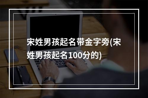 宋姓男孩起名带金字旁(宋姓男孩起名100分的)
