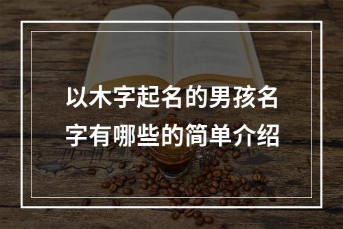 以木字起名的男孩名字有哪些的简单介绍