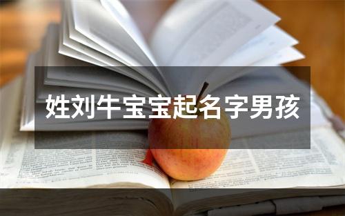 姓刘牛宝宝起名字男孩