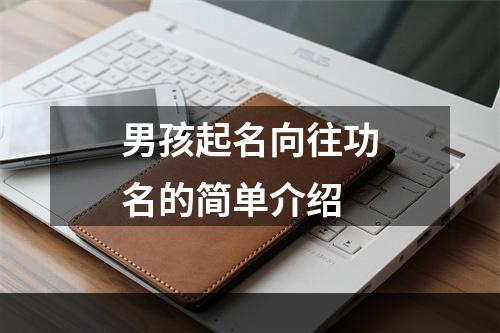 男孩起名向往功名的简单介绍
