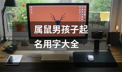 属鼠男孩子起名用字大全