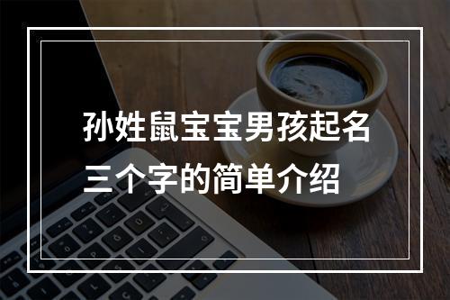孙姓鼠宝宝男孩起名三个字的简单介绍