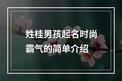 姓桂男孩起名时尚霸气的简单介绍