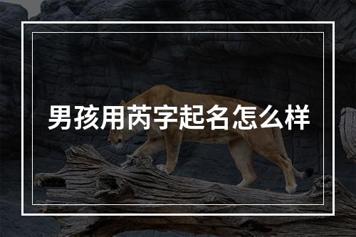 男孩用芮字起名怎么样